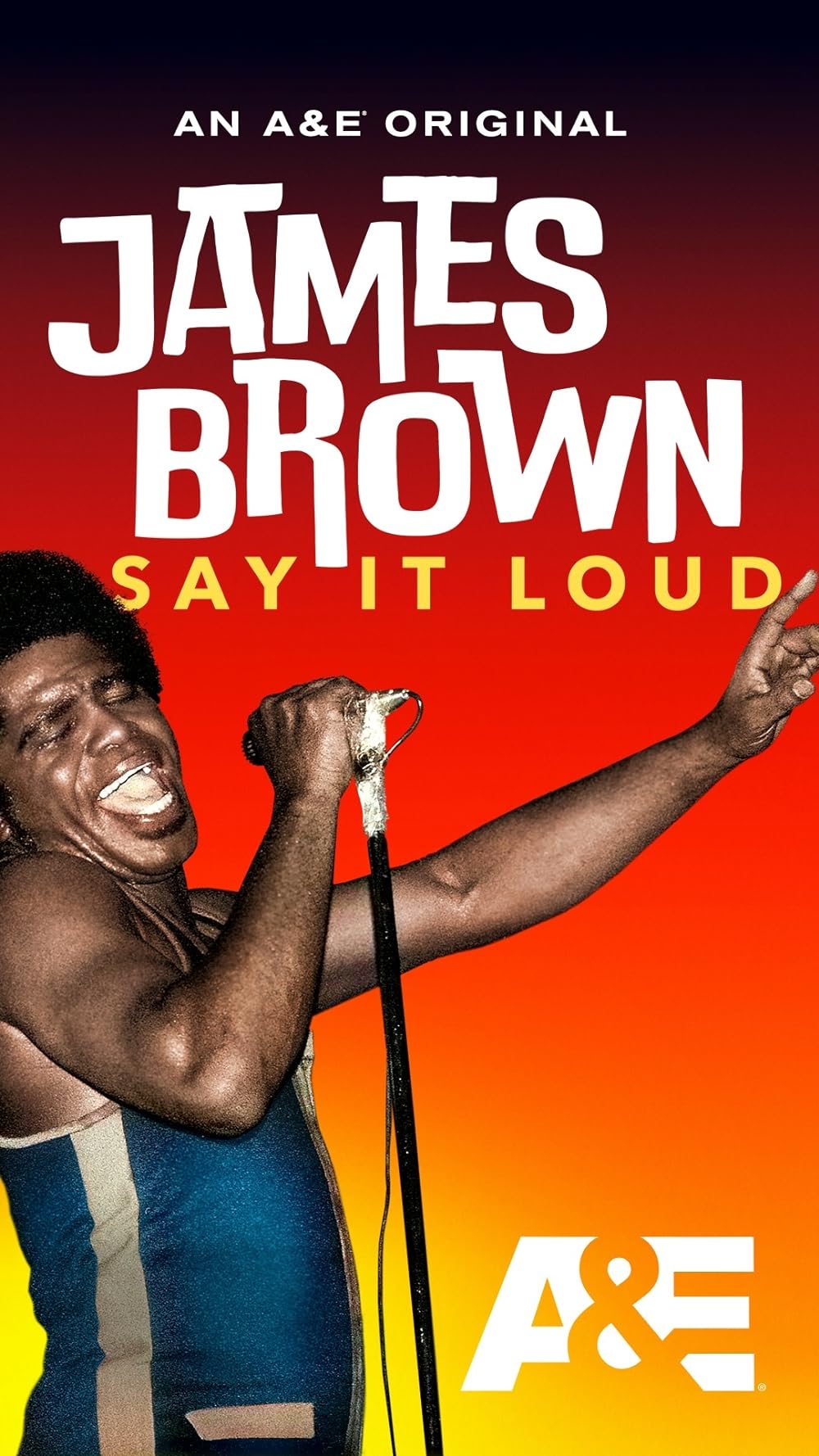 James Brown Say It Loudネタ満載 US激レアオリジナル盤 JAMES BROWN: SAY IT LOUD - PolyGram Entertainment